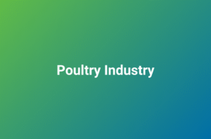 Eliminate Risks, Unlock Efficiency: Advanced Poultry Wastewater Solutions